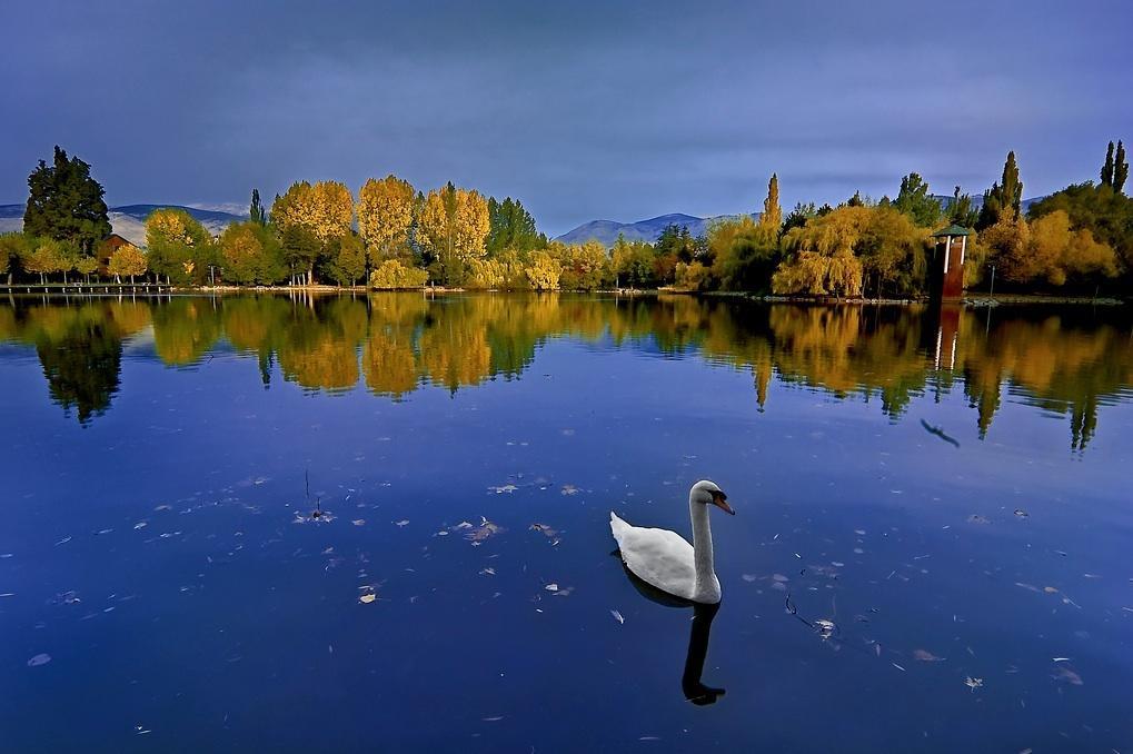 Hotel Del Lago Puigcerdà Εξωτερικό φωτογραφία